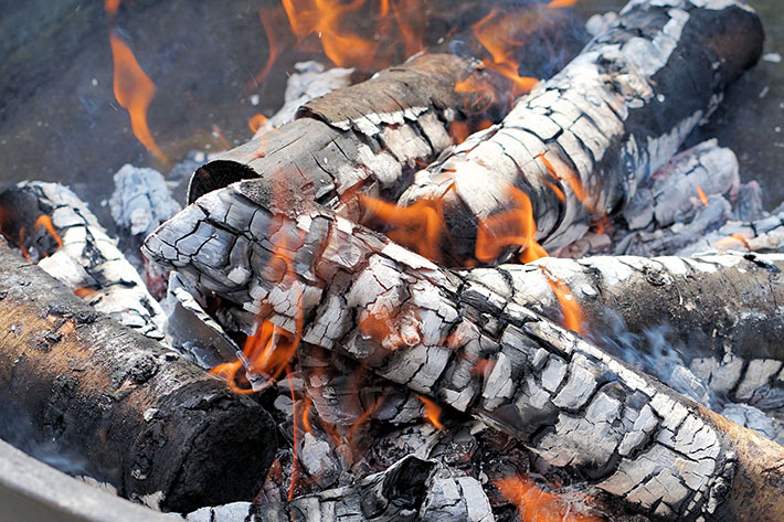 LEÑA BARBACOA